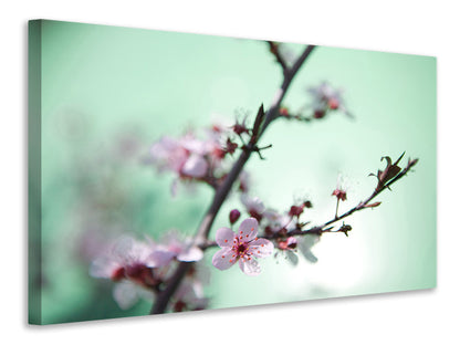 Leinwandbild Die japanische Kirschblüte