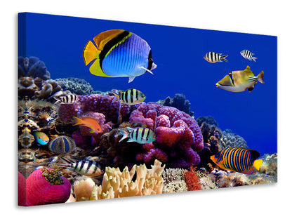 Leinwandbild Welt der Fische