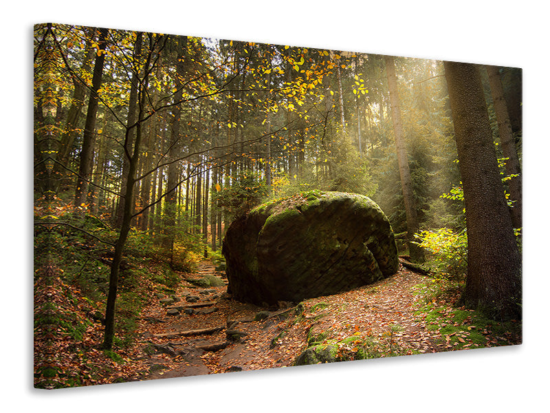 Leinwandbild Der Fels im Wald