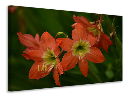 Leinwandbild Lilien in orange