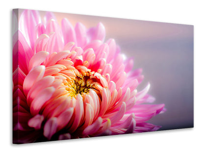 Leinwandbild Makro Chrysantheme