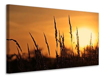 Leinwandbild Sonnenaufgang auf dem Feld