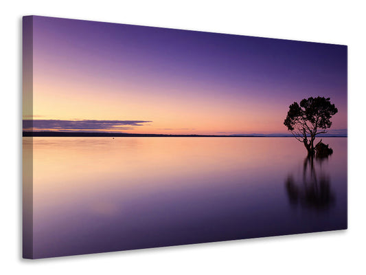 Leinwandbild Sonnenuntergang am Baum im Wasser