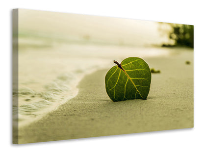 Leinwandbild Strand-Blatt